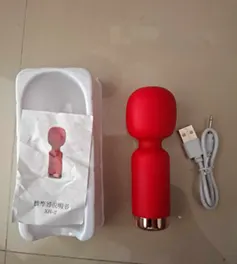 Mini Vibrator